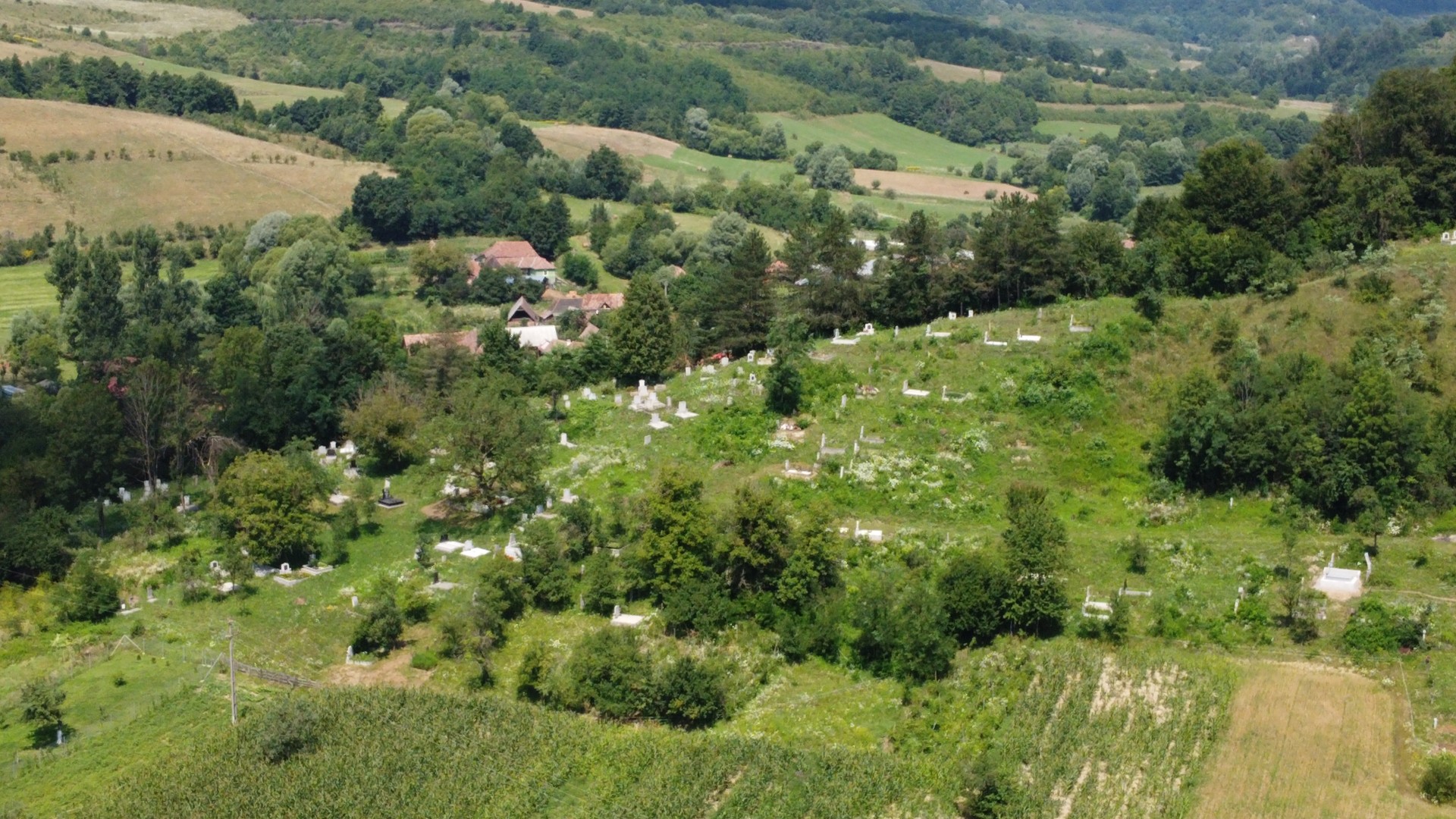Temetői séta - fényképes adatbázis készítése